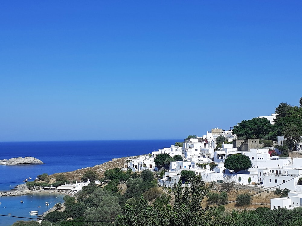 white concrete building near green trees and body of water during daytime