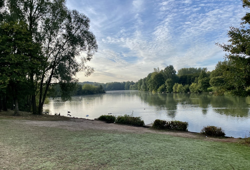 green trees beside lake under blue sky during daytime