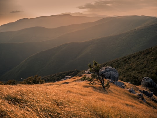 green grass on brown mountain during daytime in Shipka Bulgaria