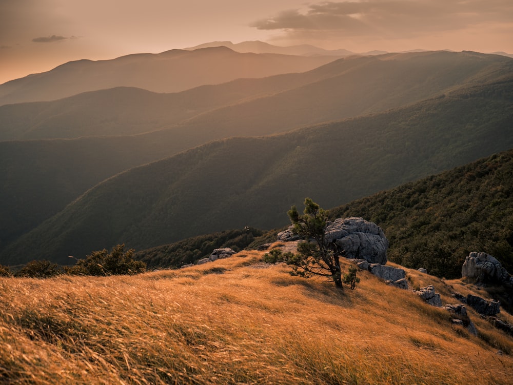 green grass on brown mountain during daytime