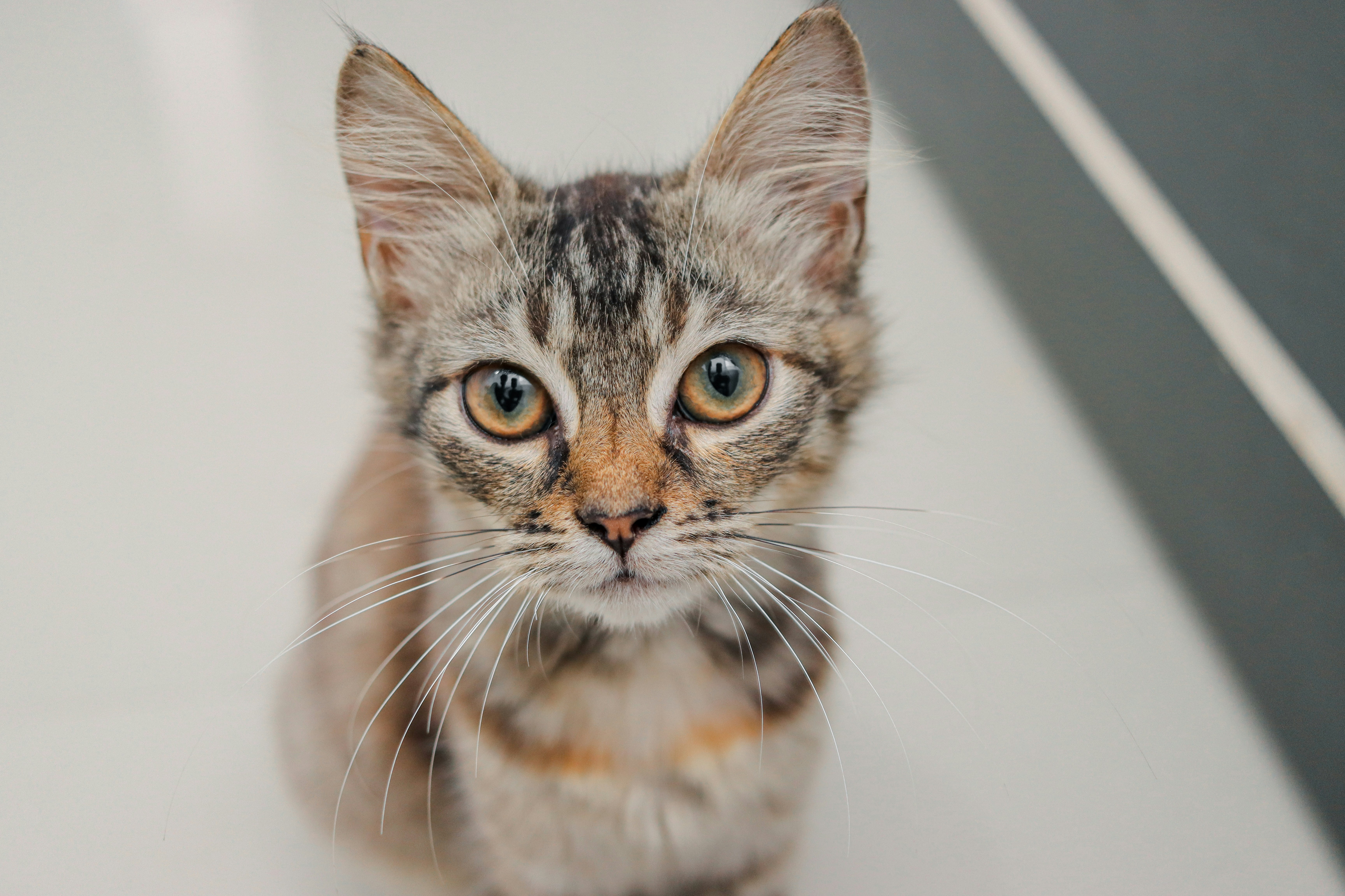 Photo by athul_artistry