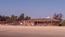 A beachside shack with a thatched roof is surrounded by palm trees under a clear blue sky. Sun loungers with red umbrellas are placed on the sandy beach in front of the shack.