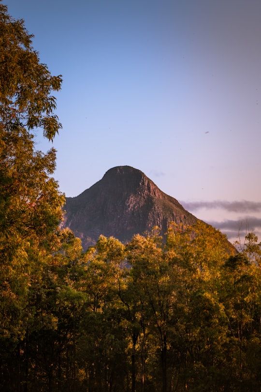 None in Glass House Mountains National Park Australia