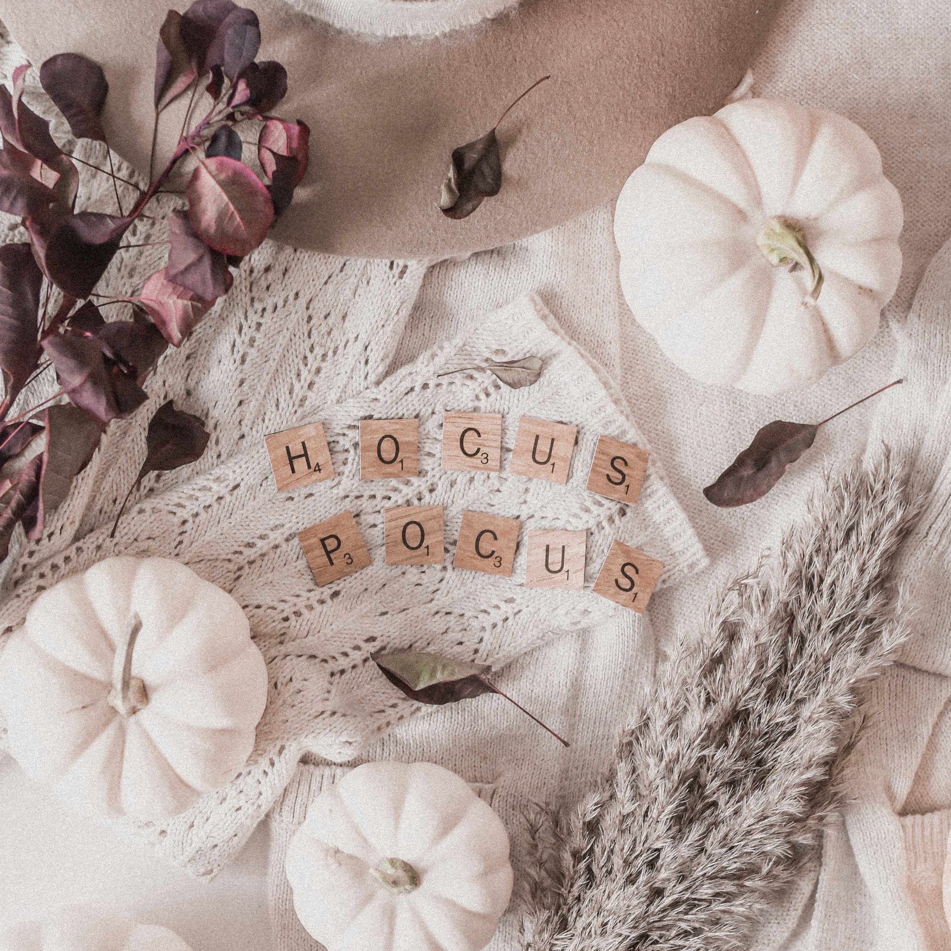 Etsy Witches Were Hired To Curse Charlie Kirk?