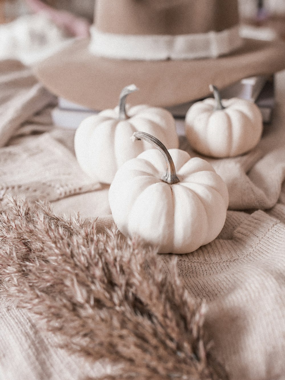 white garlic on brown textile