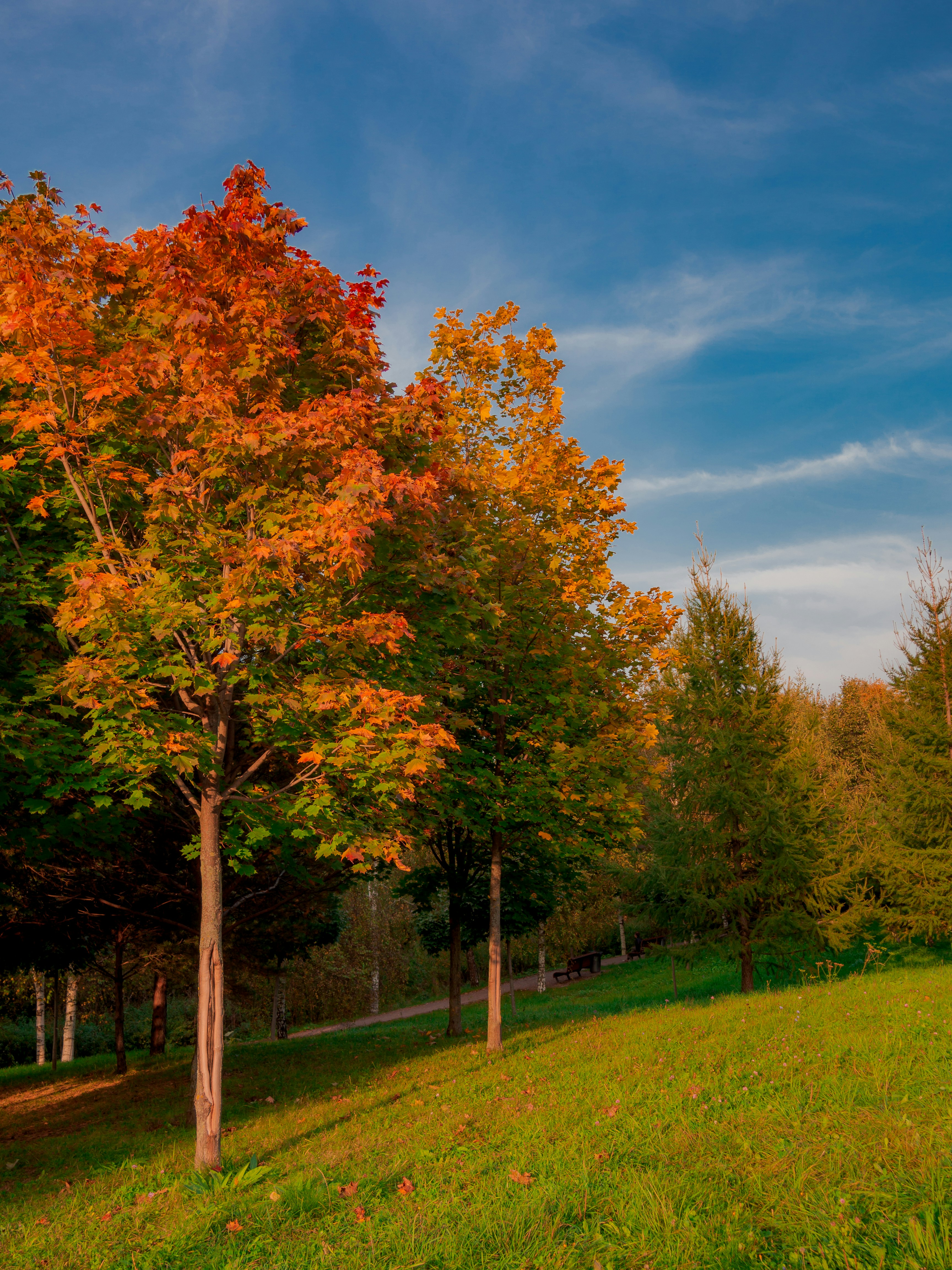 Photo by spacedezert