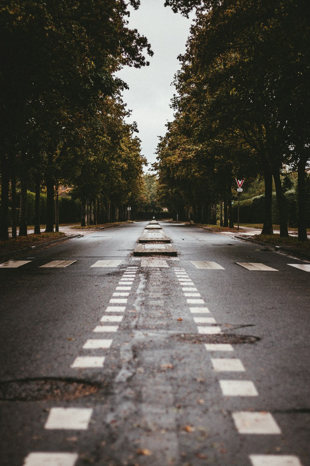 gray concrete road between green trees during daytime