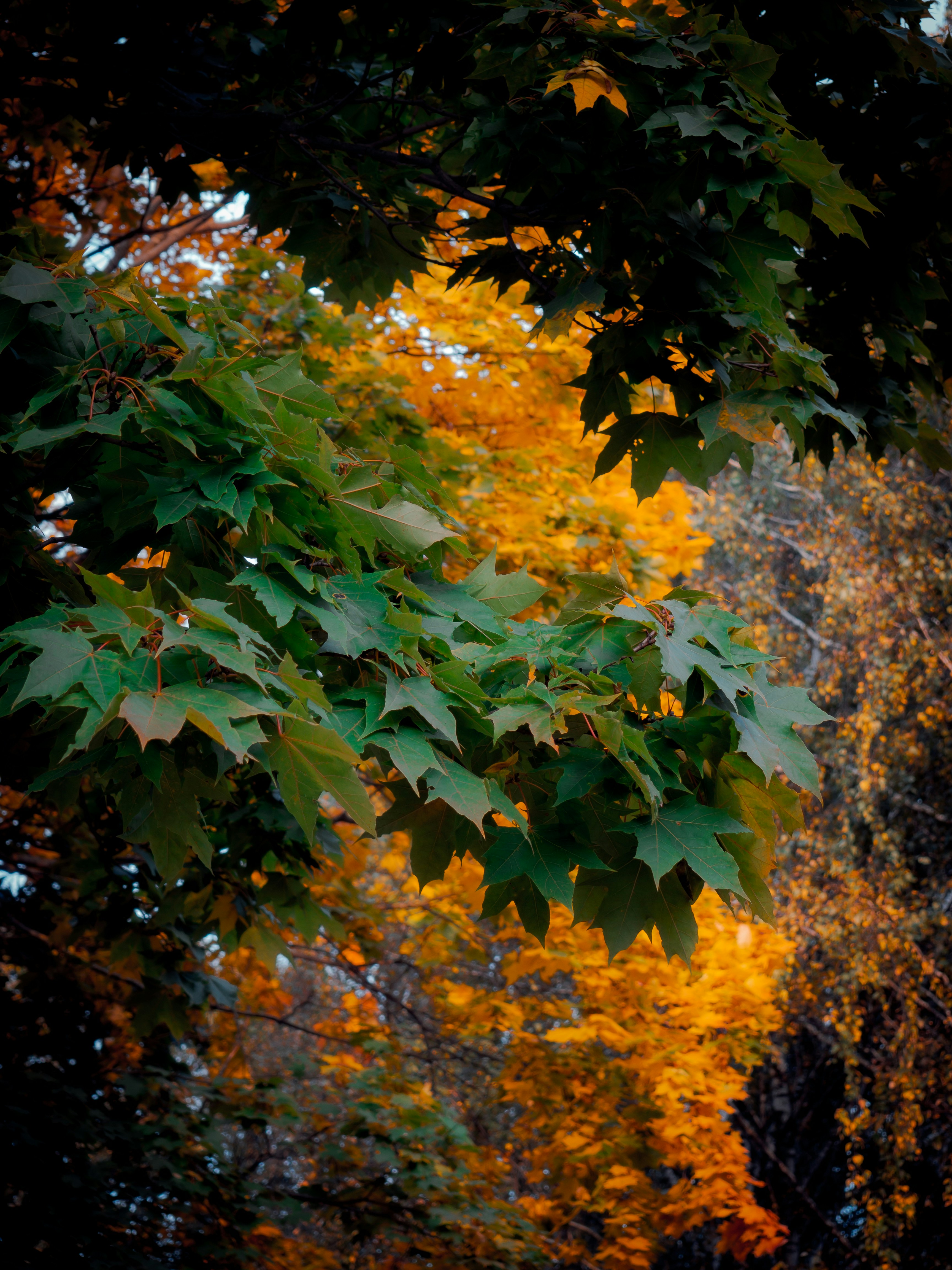 Photo by spacedezert