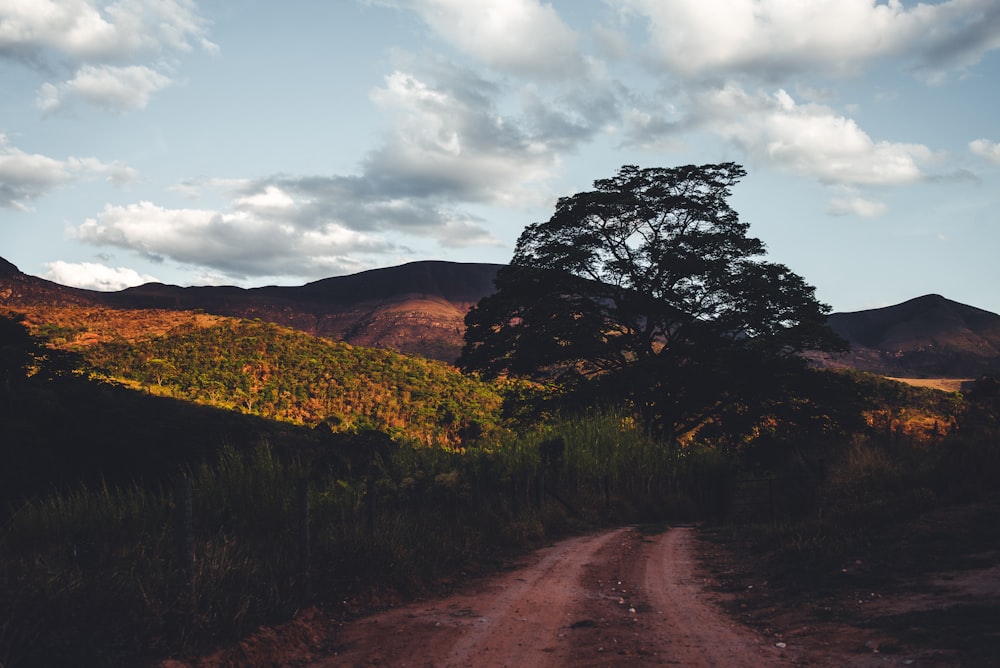 brown dirt road between green grass field under cloudy sky during daytime