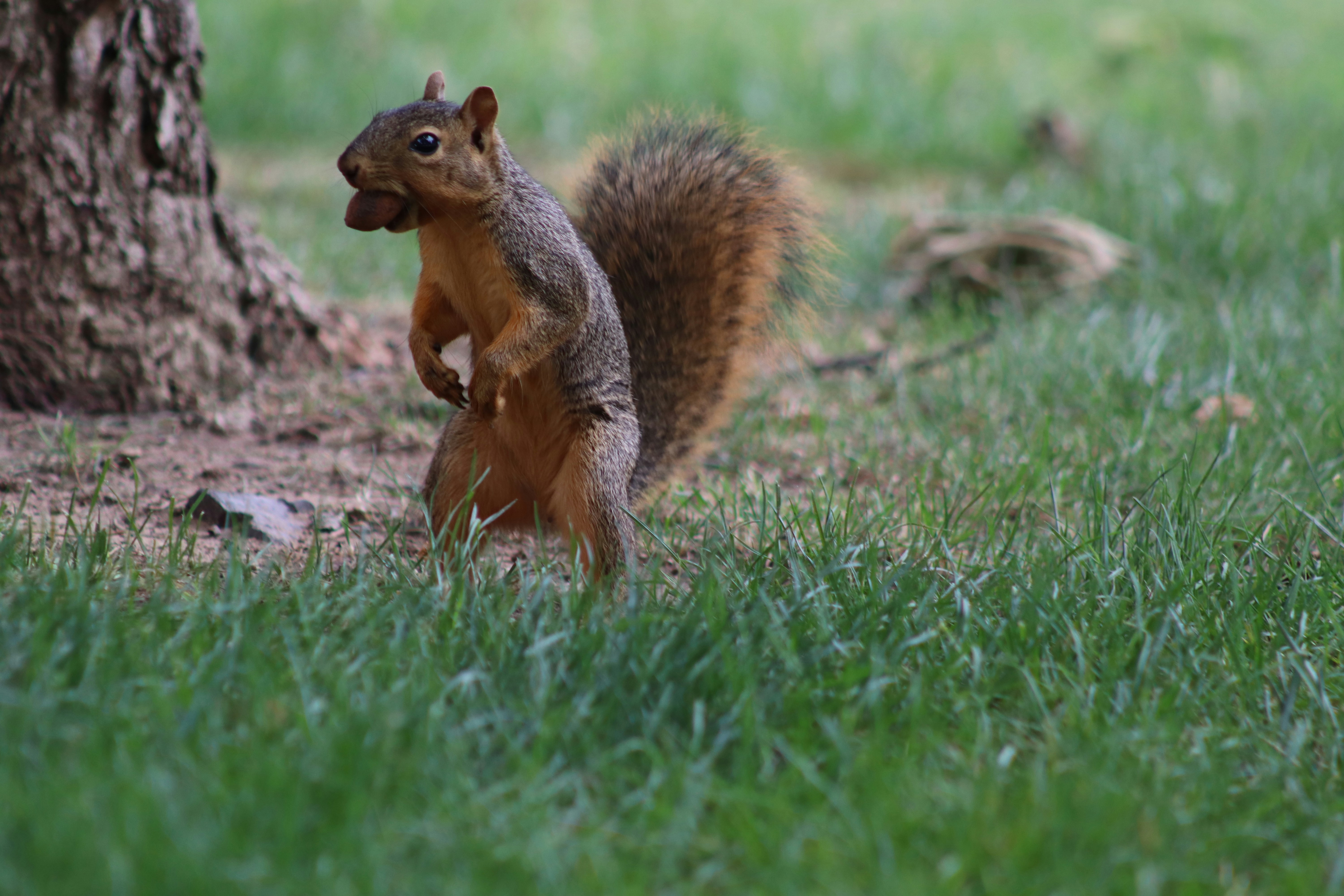 Photo by austintatephotography