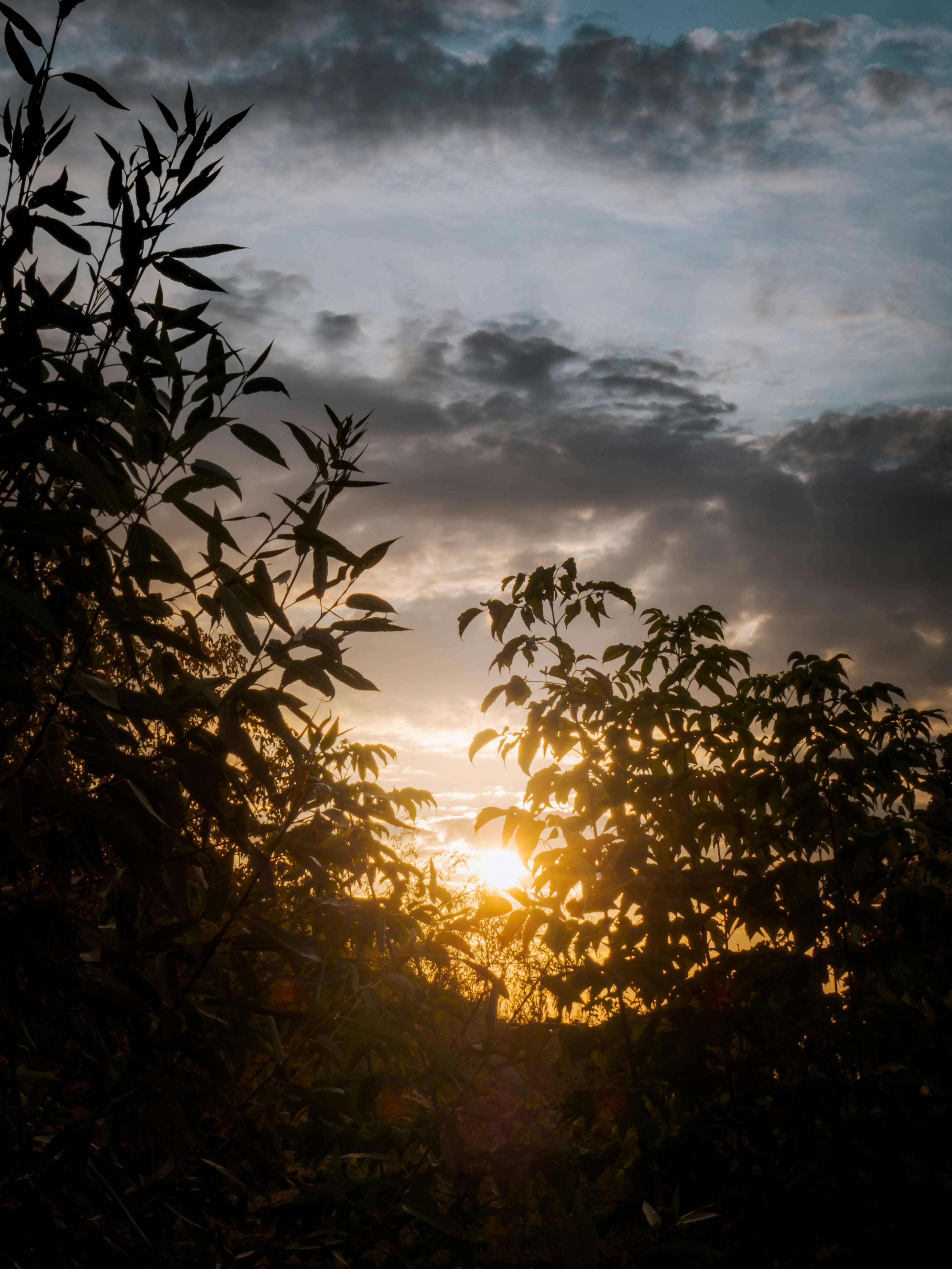 Photo by spacedezert