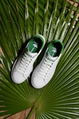 A pair of white sneakers with green interiors is neatly placed on a large green palm leaf, creating a natural and tropical vibe.