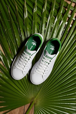 A pair of white sneakers with green interiors is neatly placed on a large green palm leaf, creating a natural and tropical vibe.