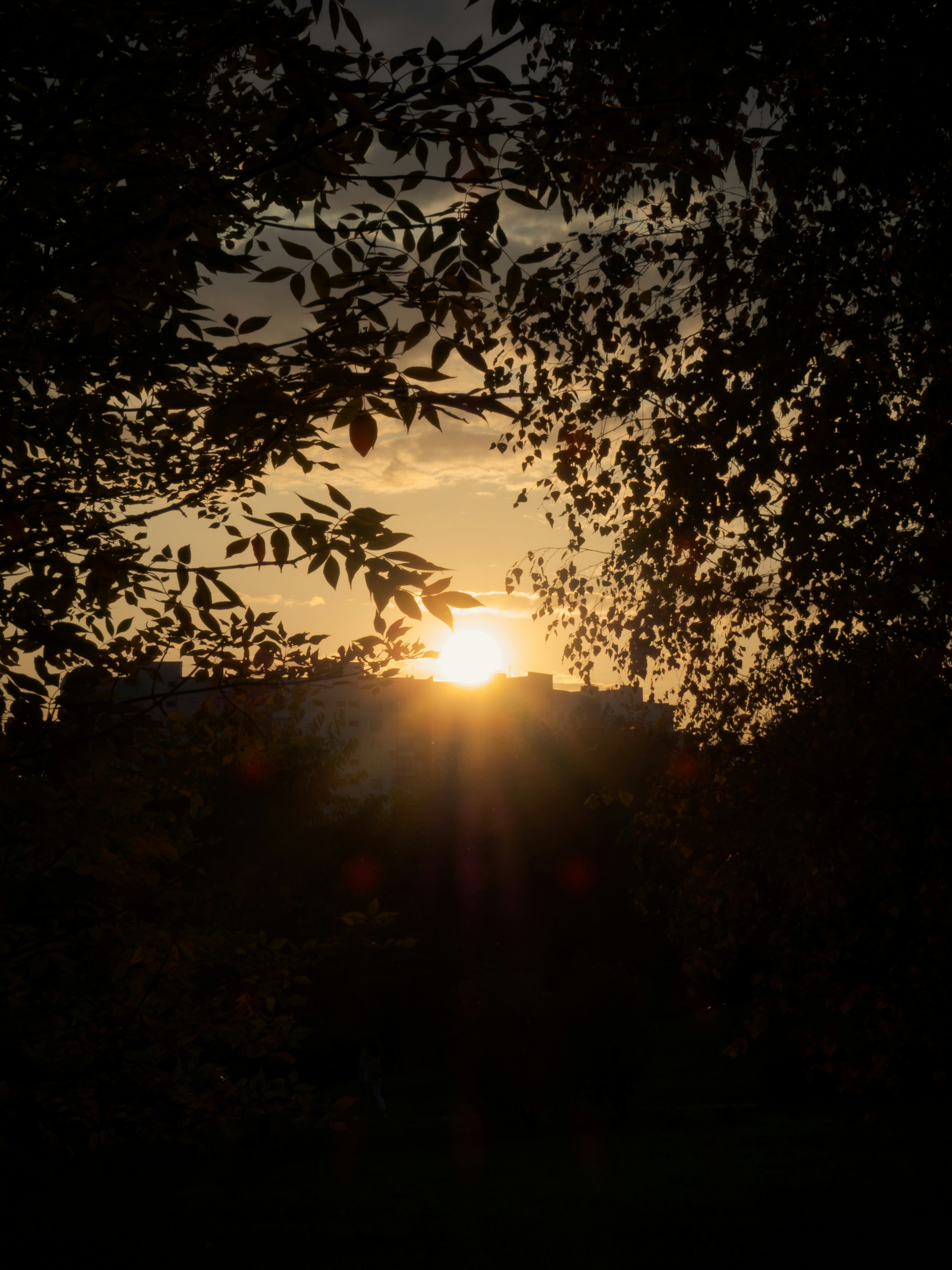 Photo by spacedezert