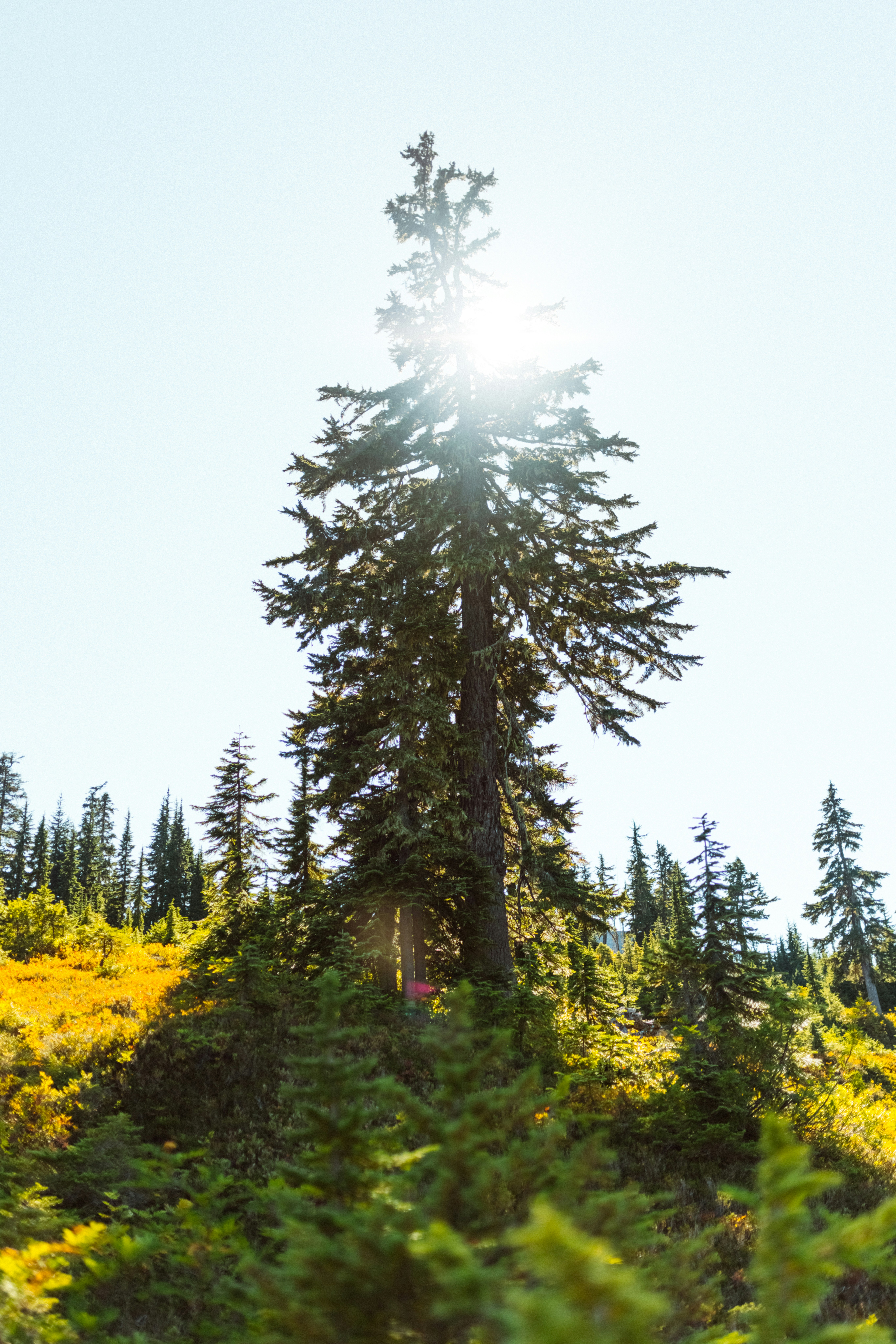 Photo by nate_dumlao