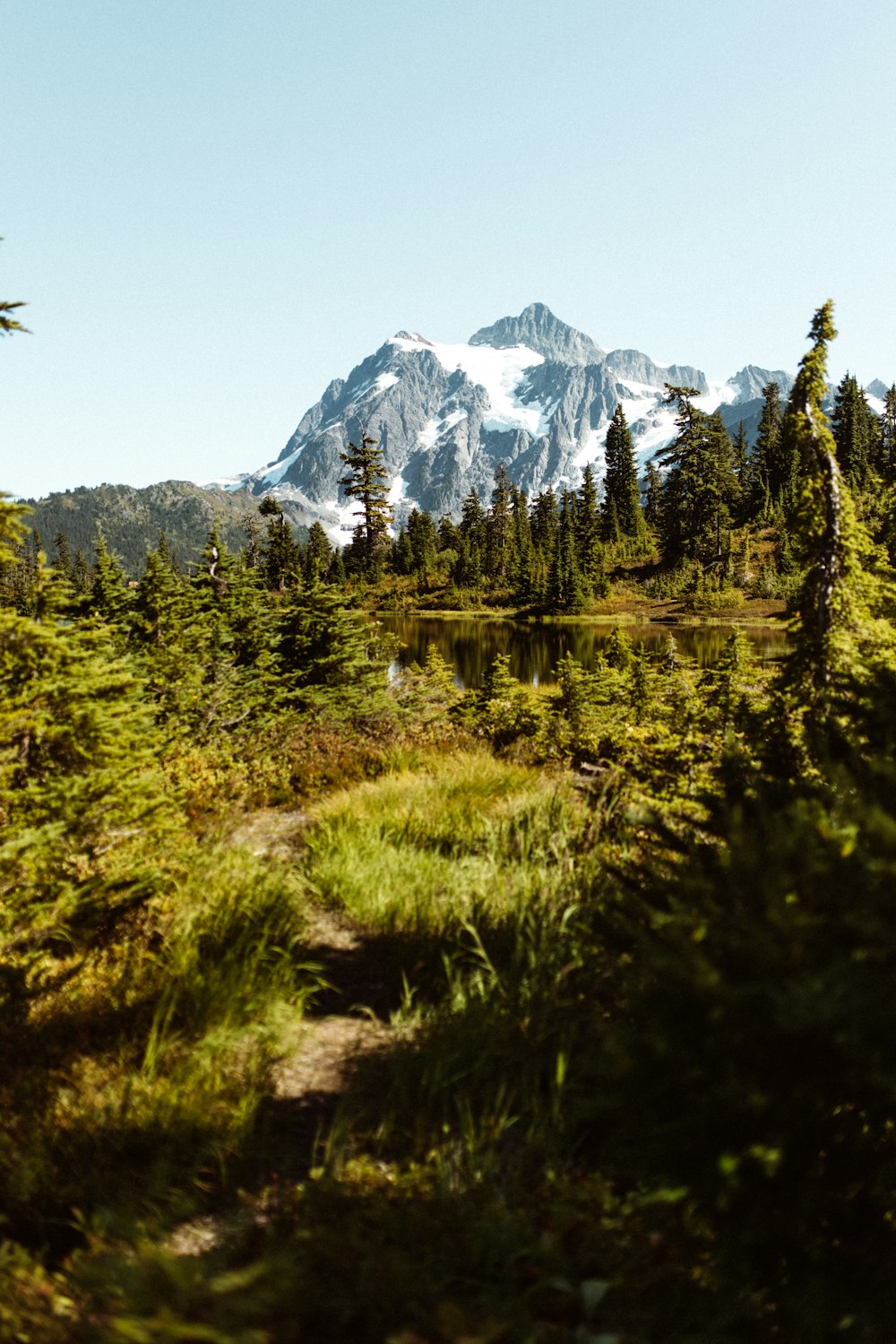 green trees and white snow covered mountain during daytime