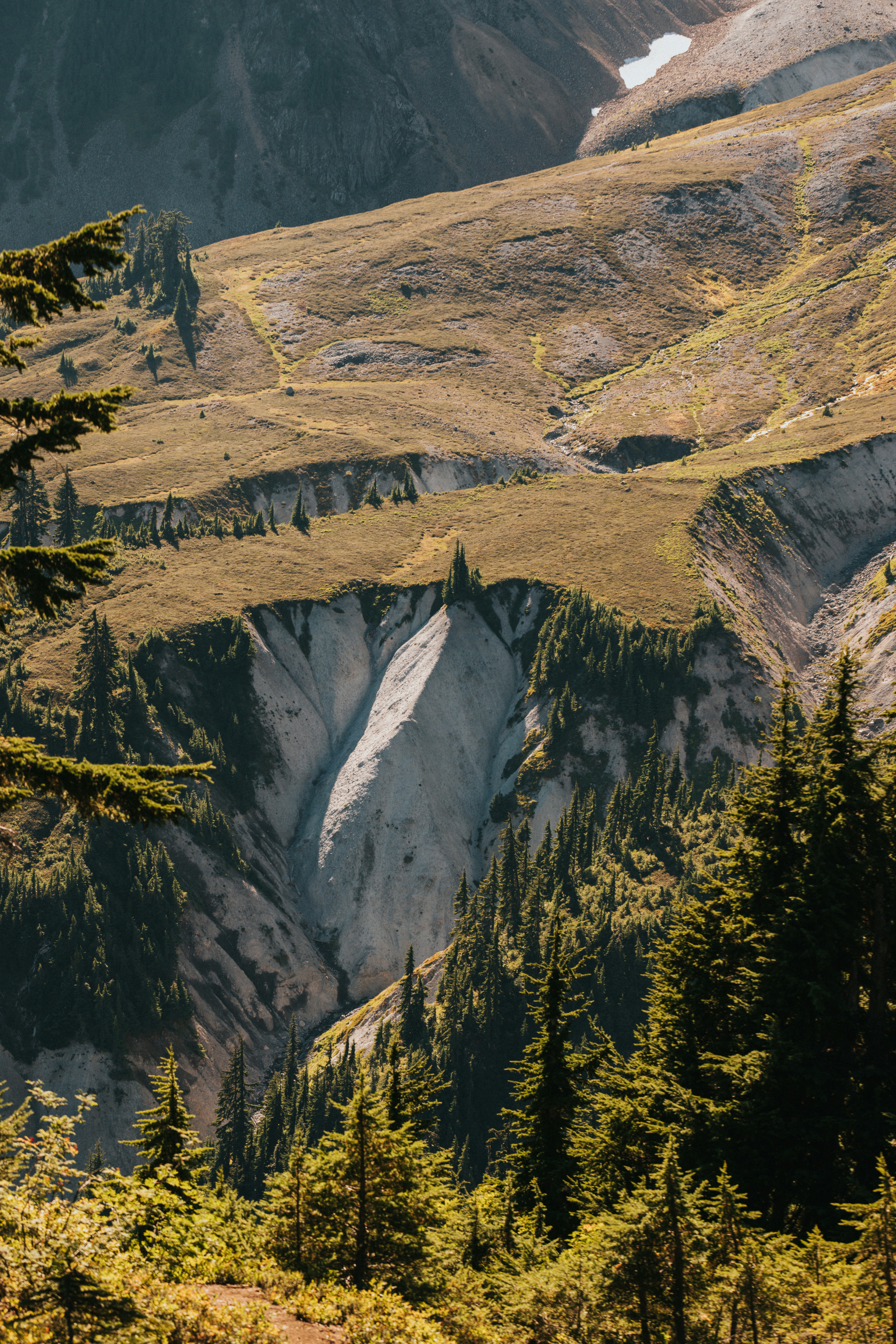 Photo by nate_dumlao