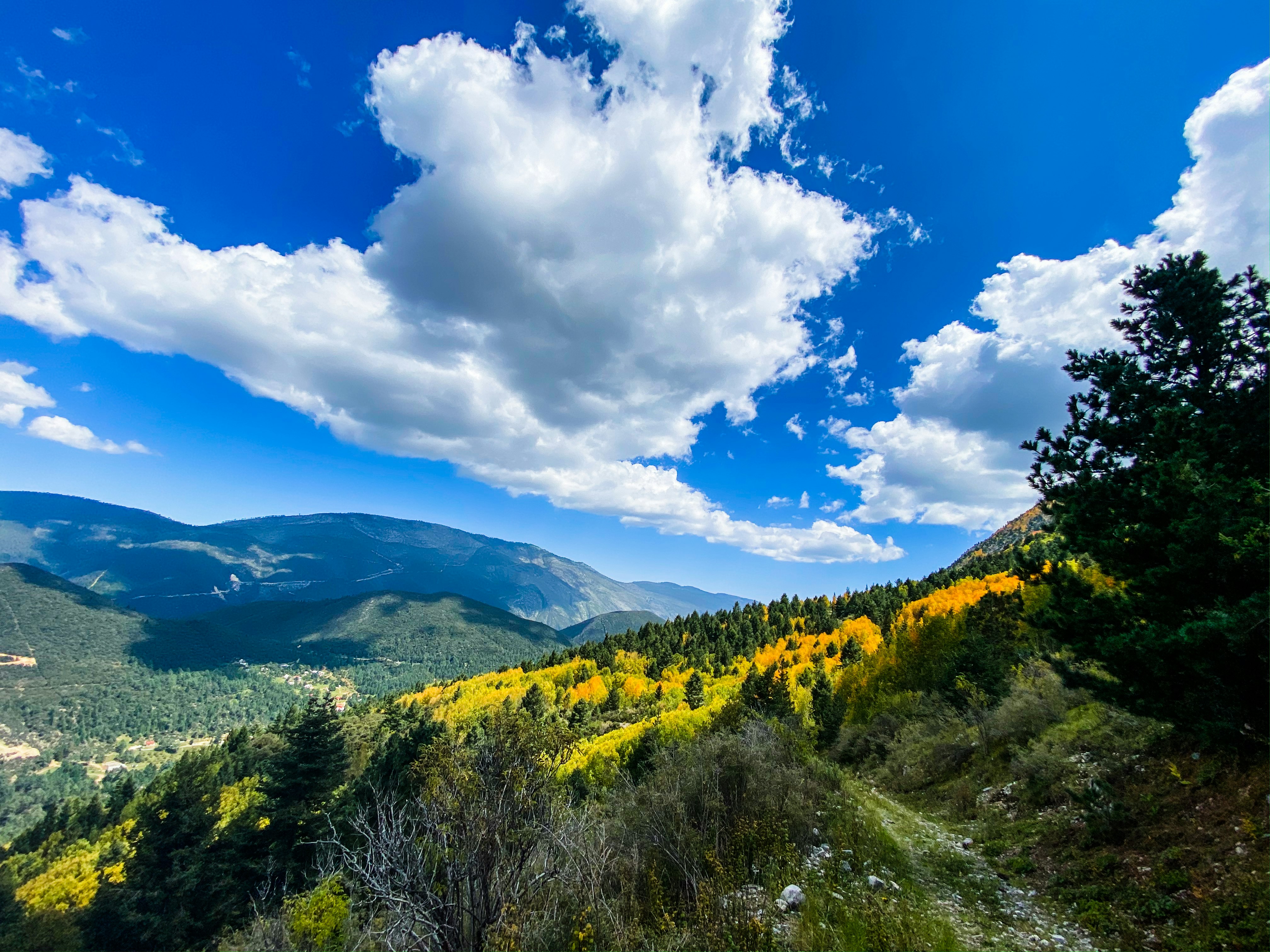 green trees on mountain under blue sky during daytime