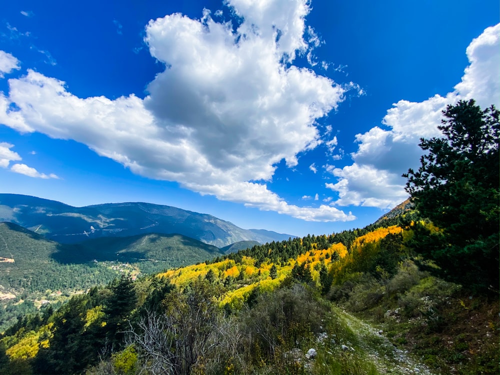 green trees on mountain under blue sky during daytime