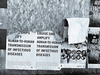 A series of overlapping posters attached to a wooden surface. The primary poster reads about the amplification of infectious disease transmission on cruise ships. Other posters feature graphic icons and the word 'Venezia,' along with partial images of warnings or advertisements. The scene is characterized by a textured wooden background.