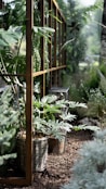 green plant on brown wooden pot