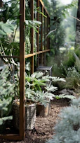 A serene backyard scene featuring a wicker lounger and wooden planters surrounded by lush greenery.