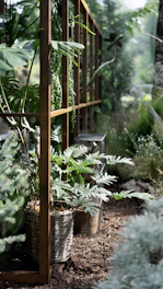 A serene garden design plan displayed on a tablet with natural plants around.
