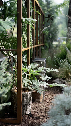 A serene garden design plan displayed on a tablet with natural plants around.