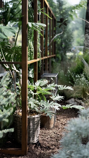 A serene herbal garden with various plants growing.