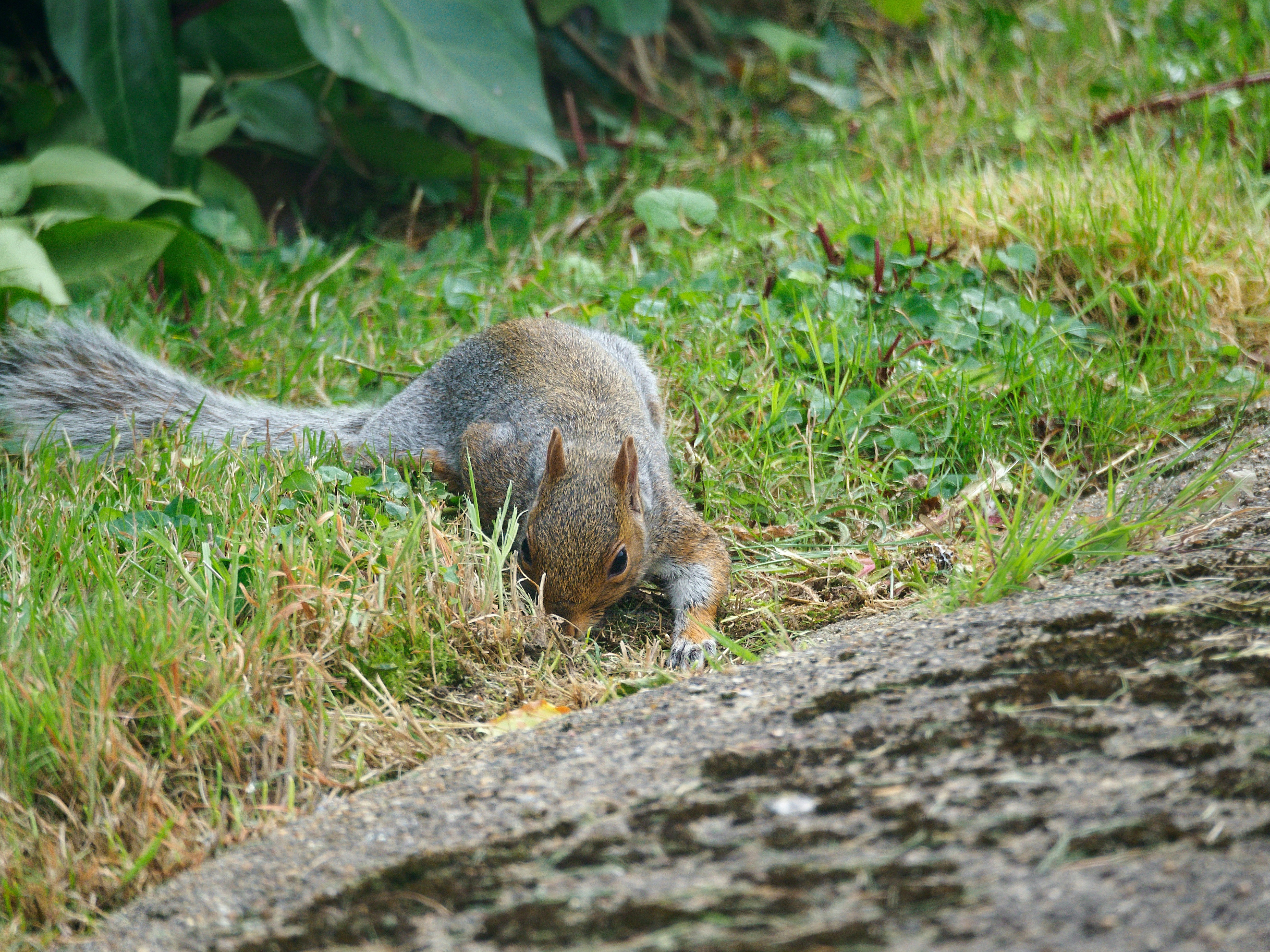 Photo by brett_jordan