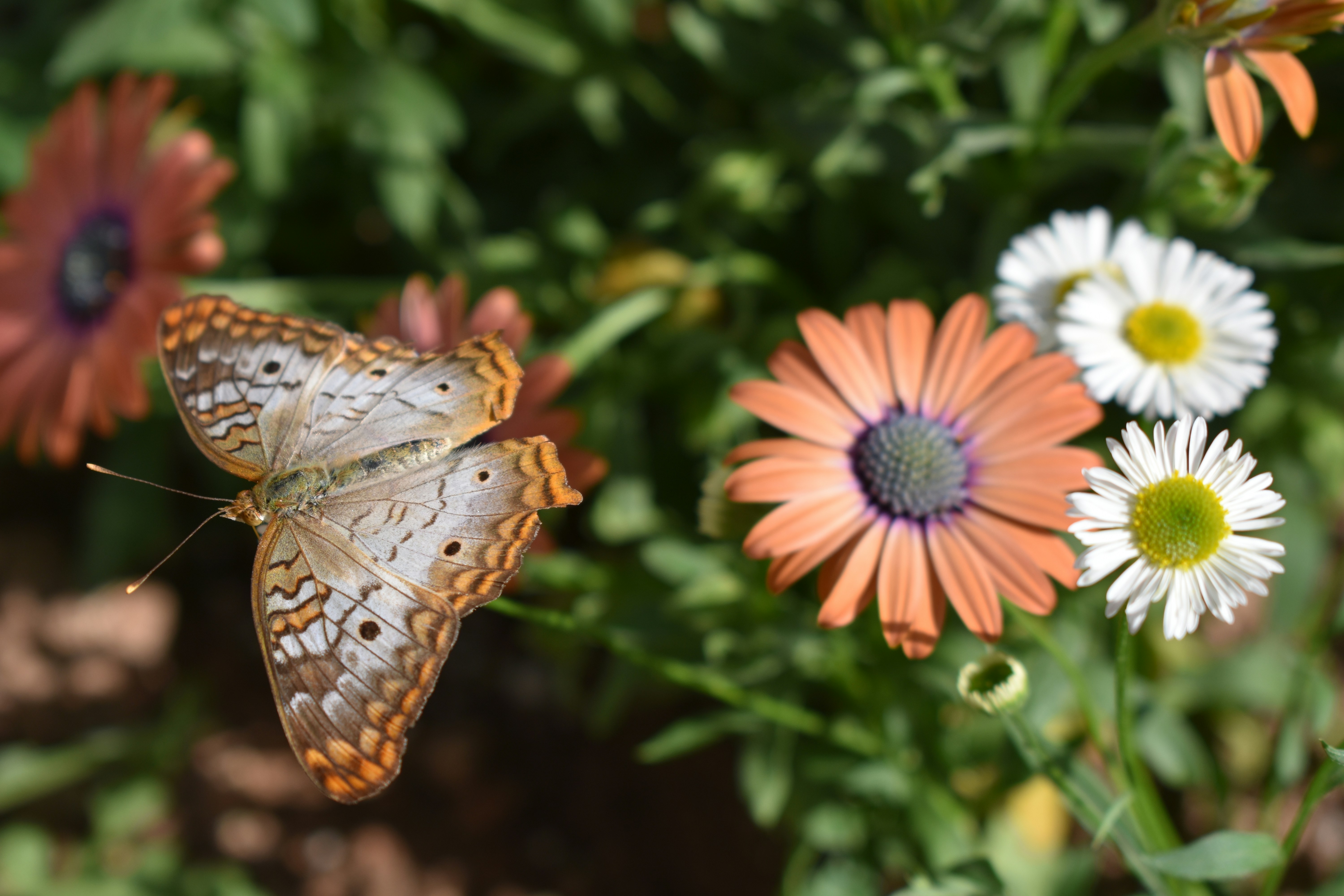 Photo by penelope_photography_pdx