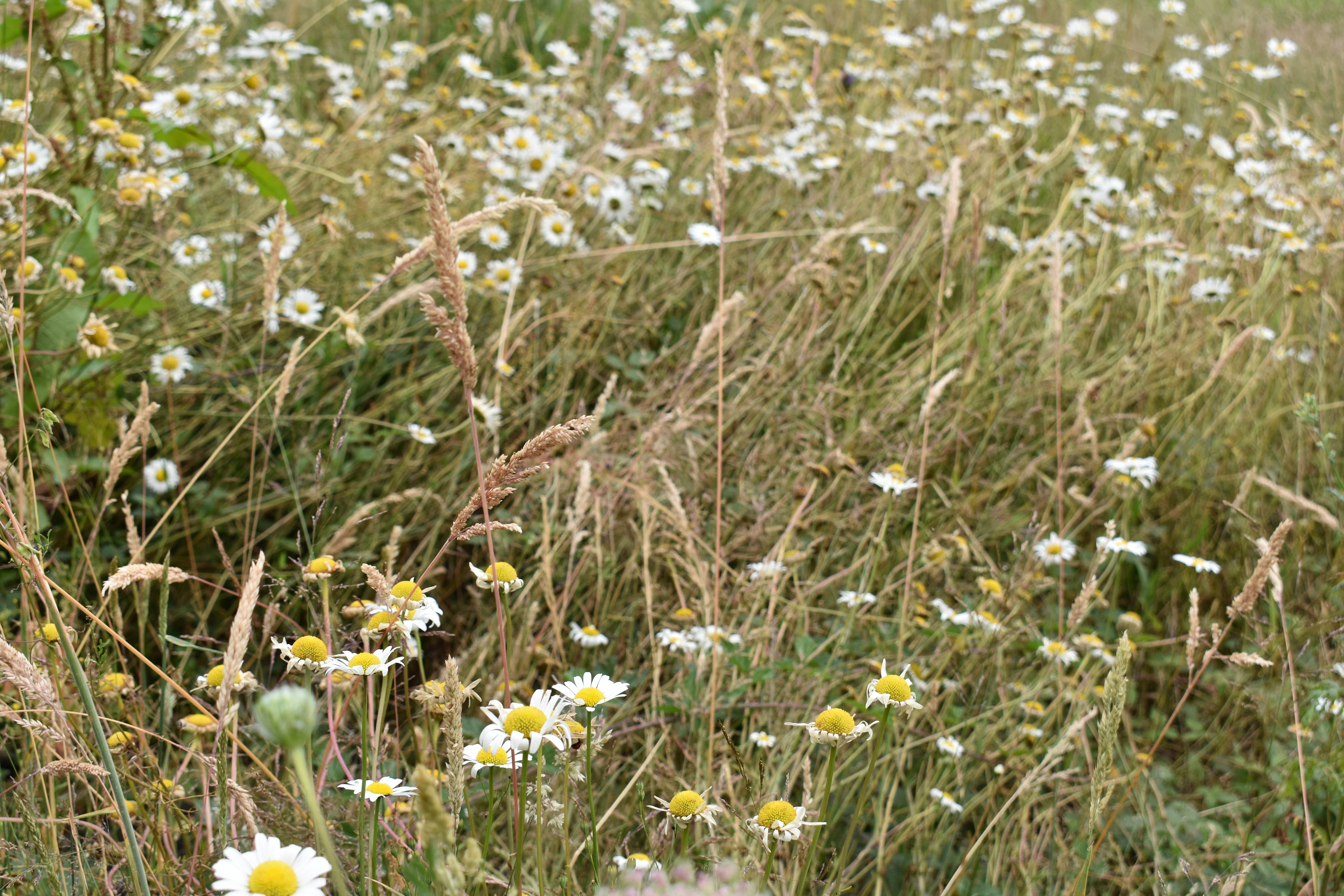 Photo by penelope_photography_pdx