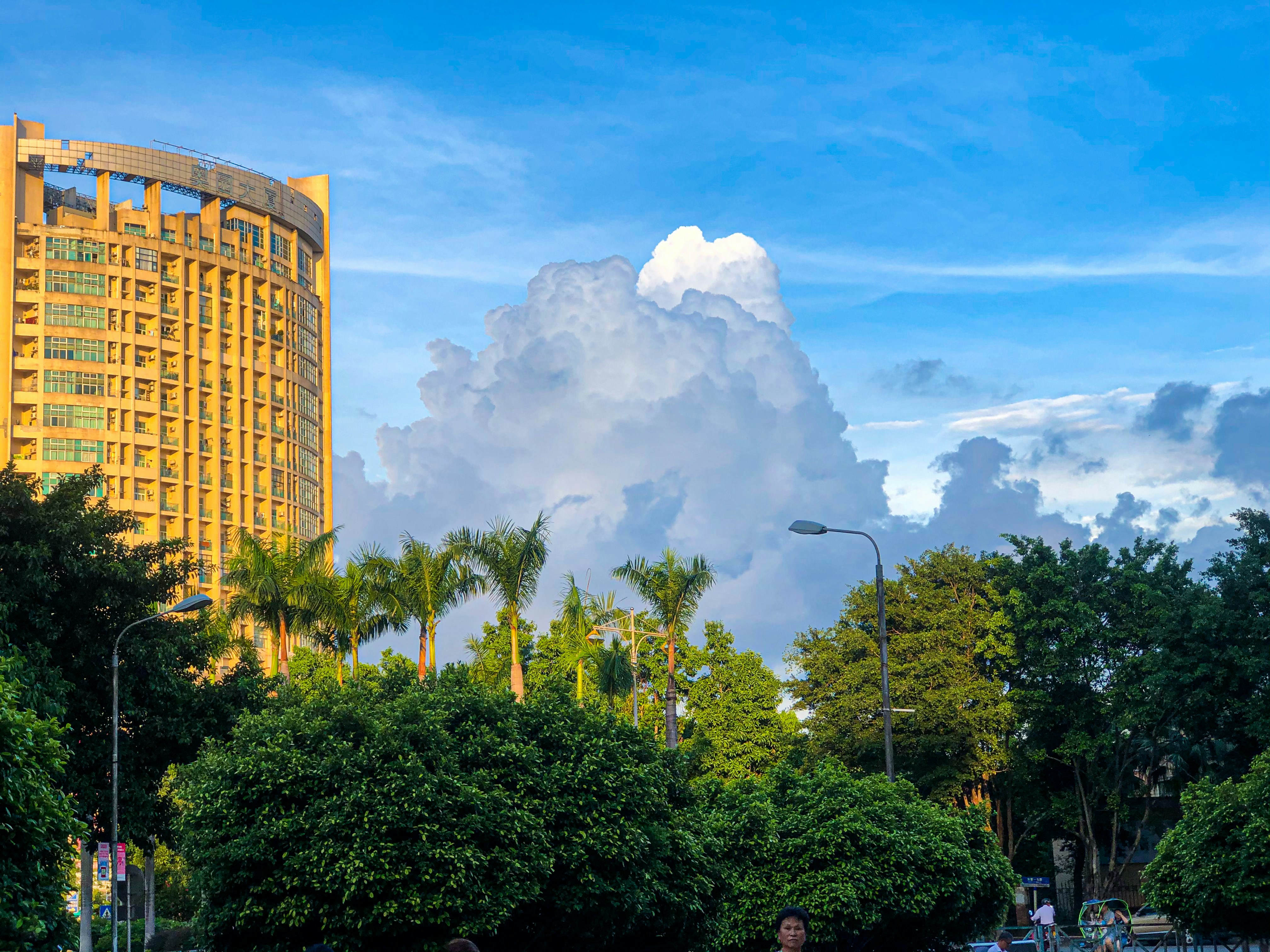 Photo by cindyhwang2020