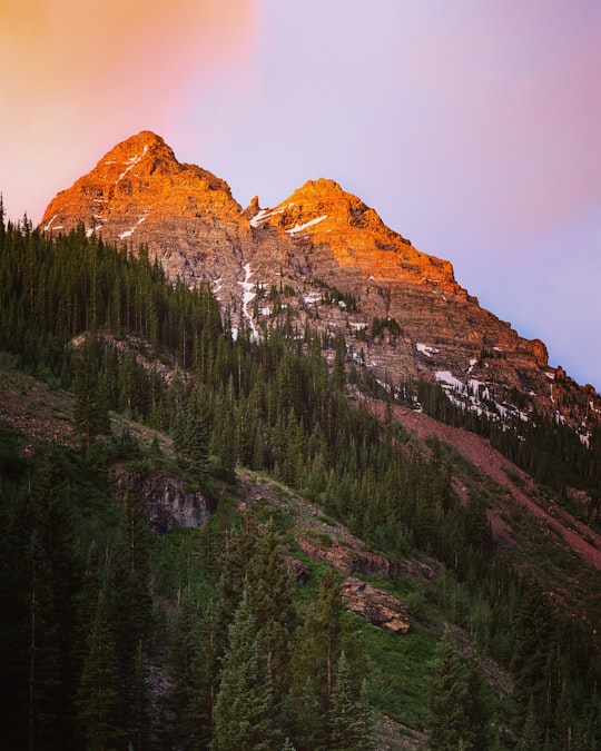 green pine trees near brown mountain during daytime in Maroon Bells United States