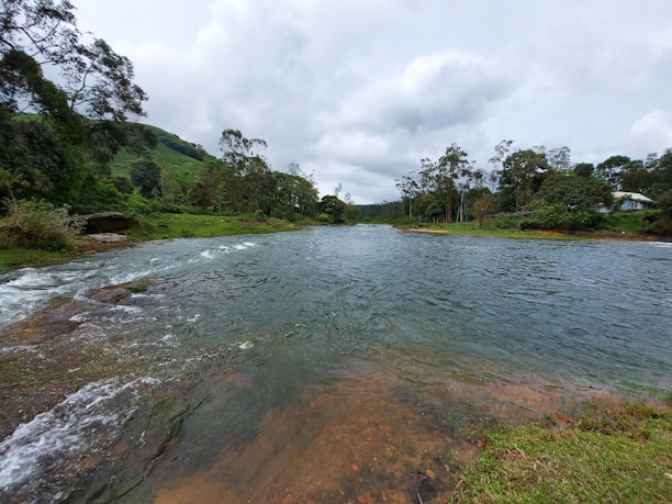 A serene landscape showing a clear river flowing through a lush green environment.