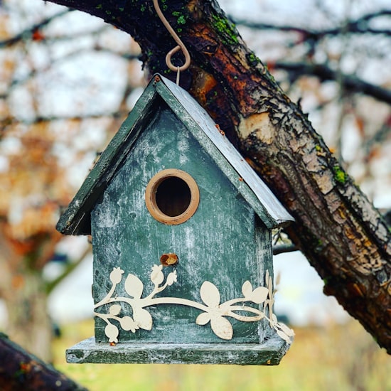 A weathered sage-green vintage birdhouse with a decorative botanical relief.