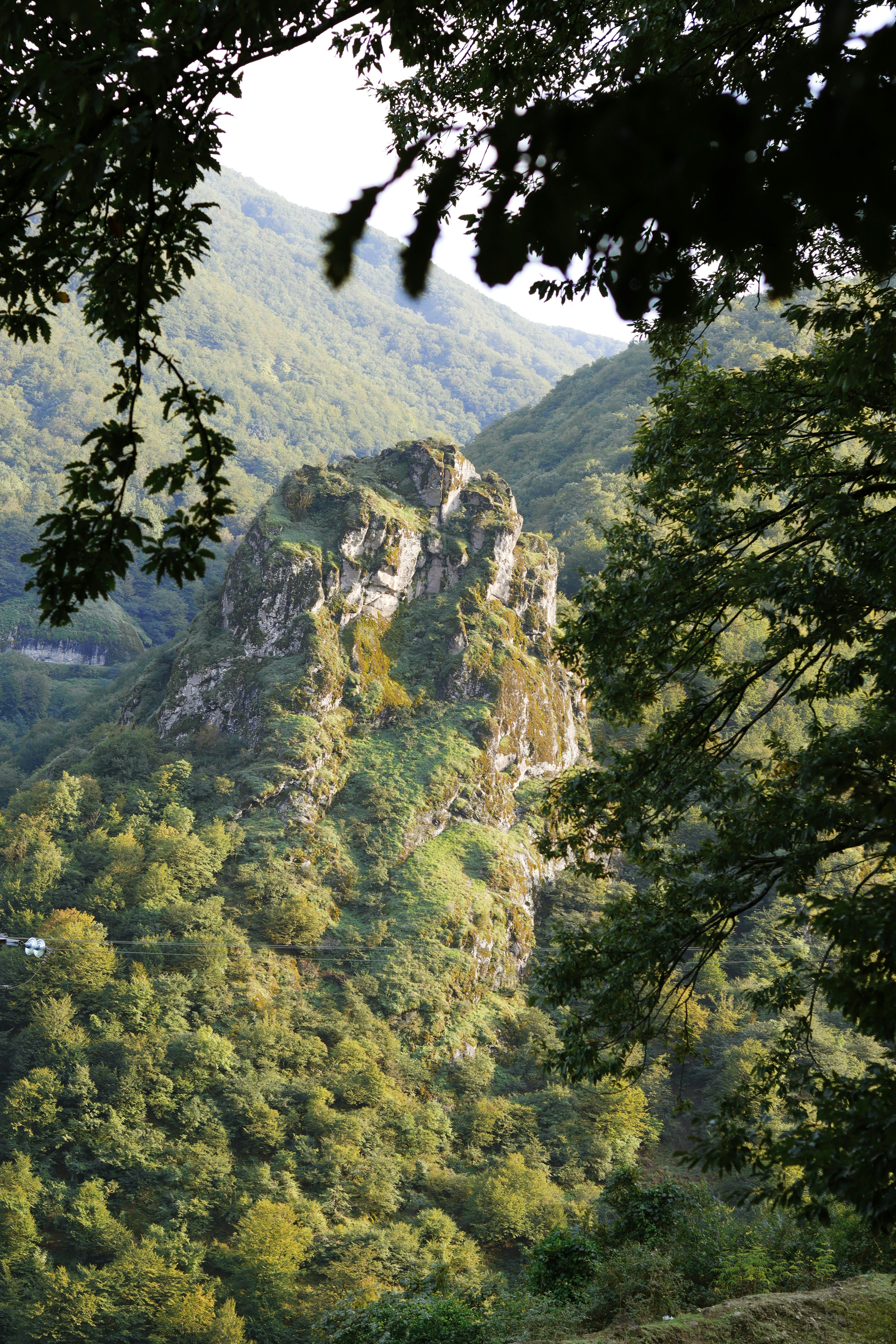 Photo by habibdadkhah