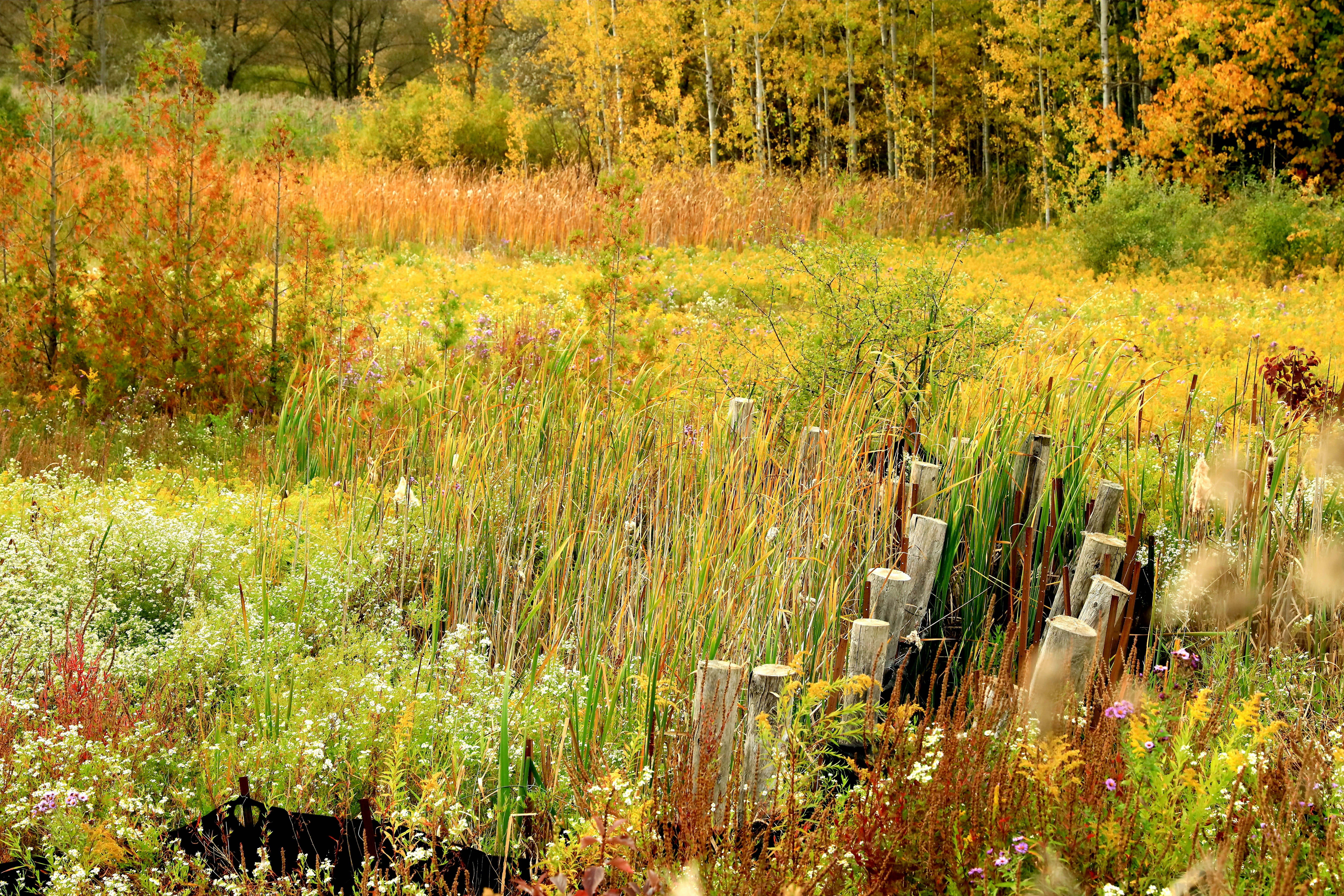 Photo by richardworks