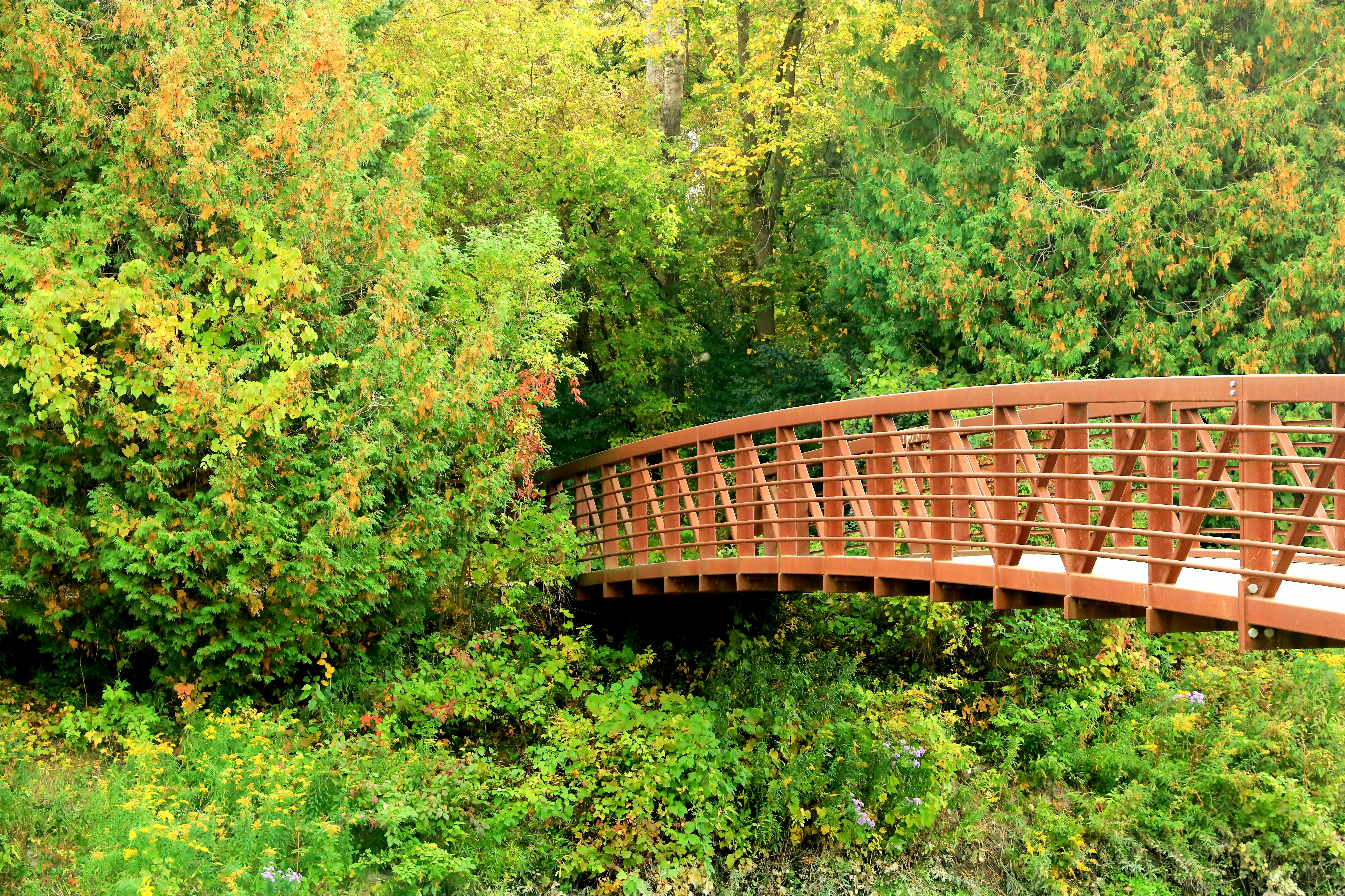 Photo by richardworks