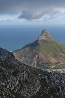 Lionshead