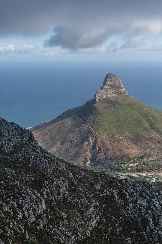 brown and green mountain beside body of water during daytime in Table Mountain National Park South Africa