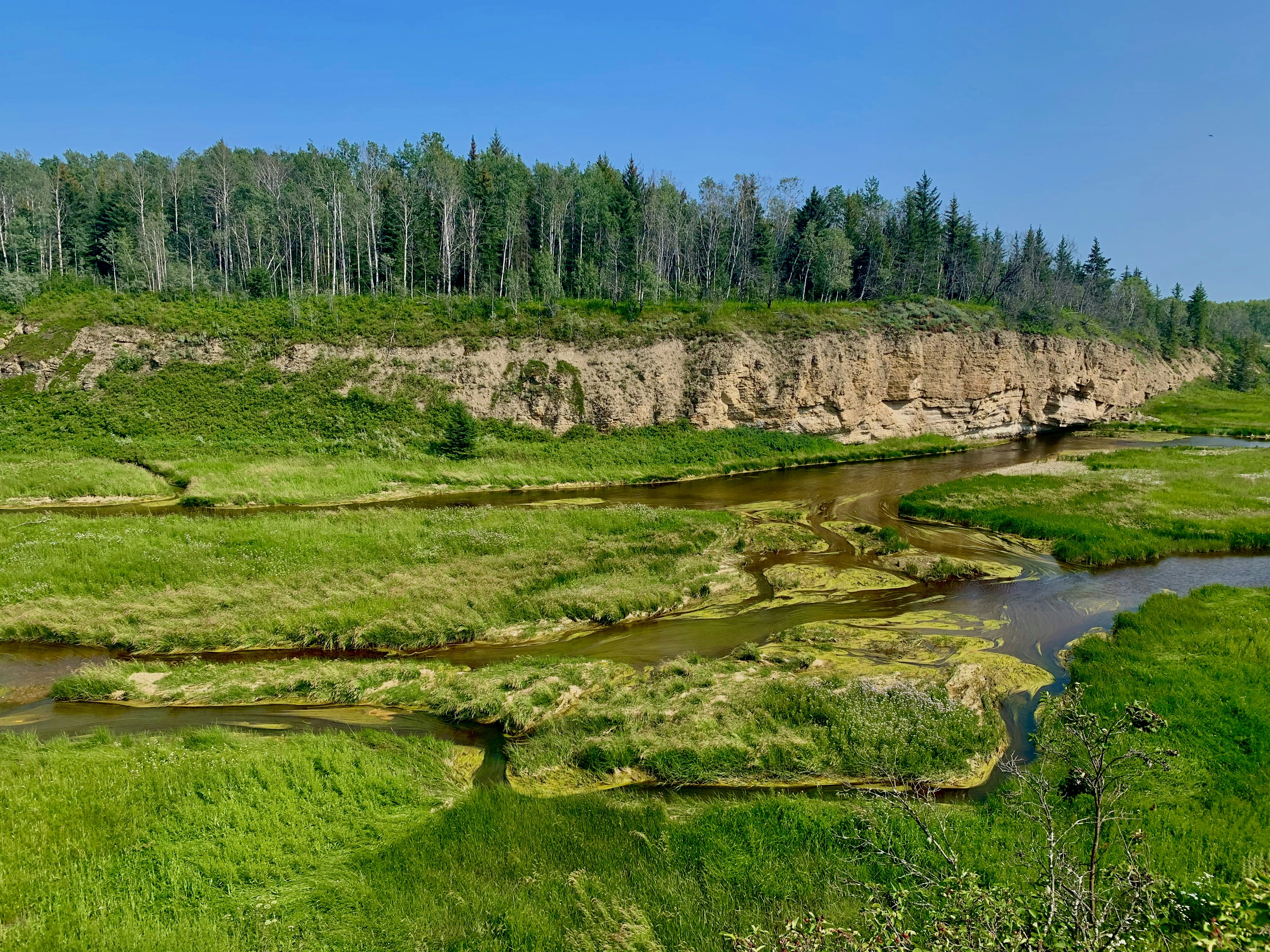 green grass field near river during daytime