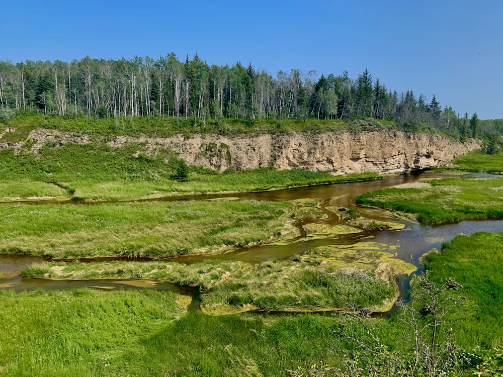 green grass field near river during daytime