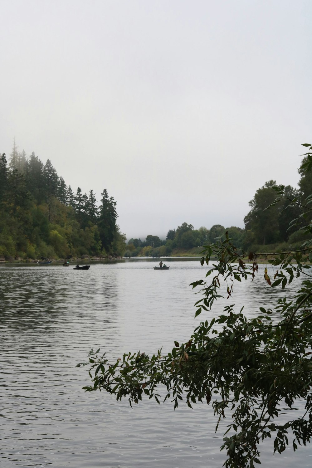 green trees beside body of water during daytime