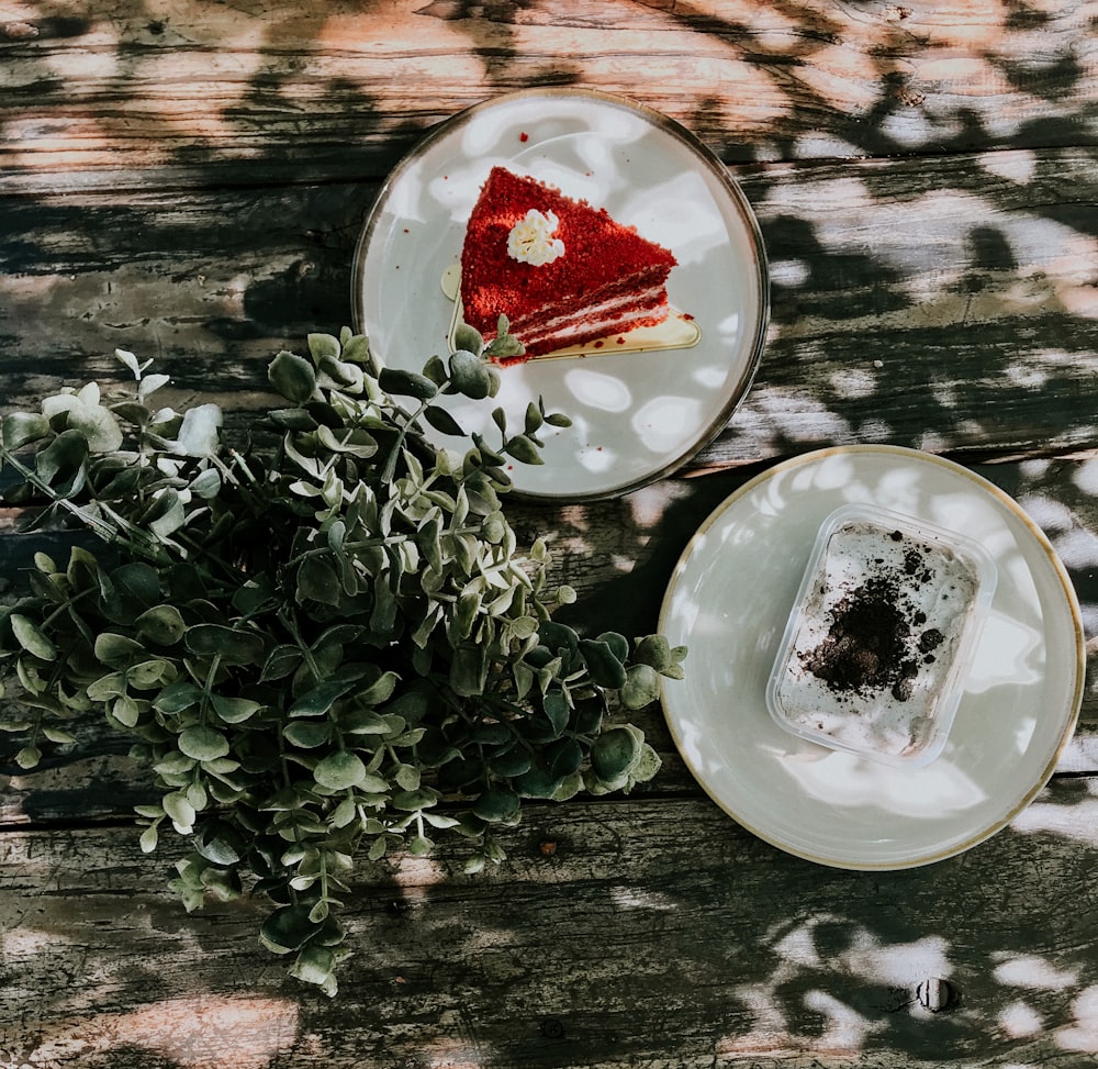 green plant on white ceramic plate