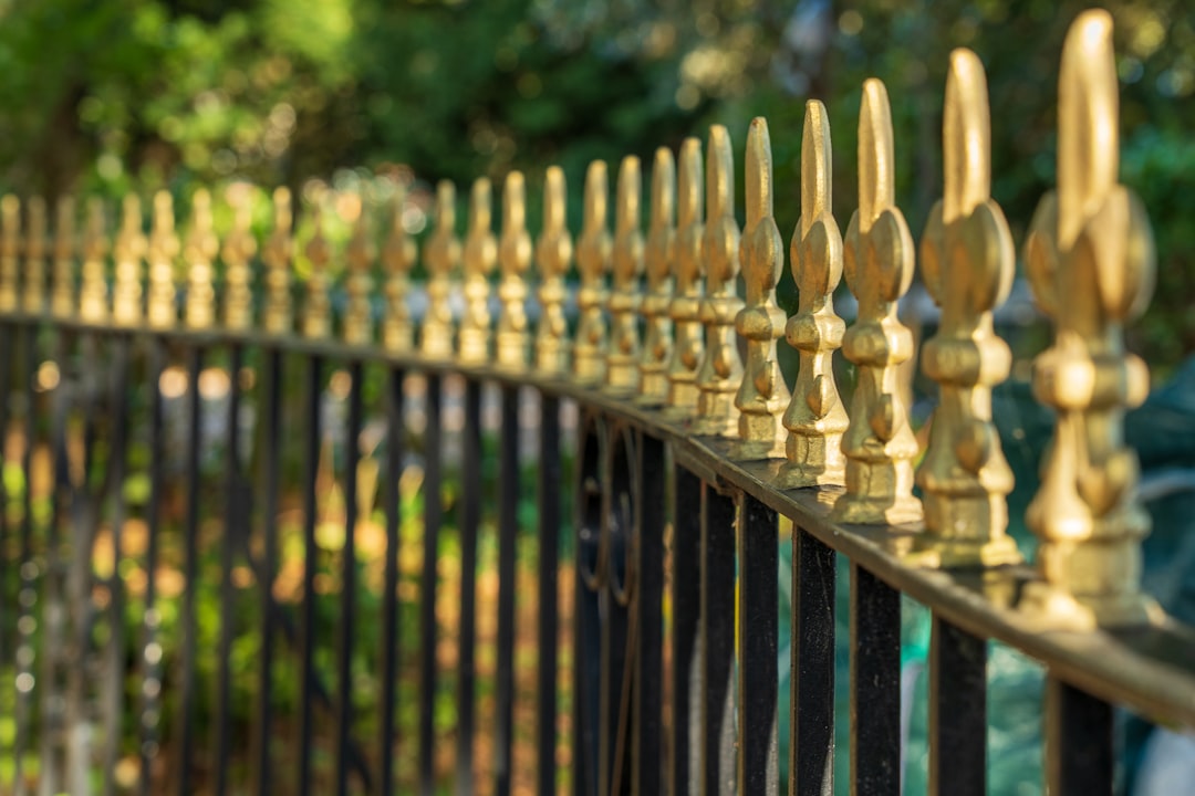 brown wooden fence near green trees during daytime