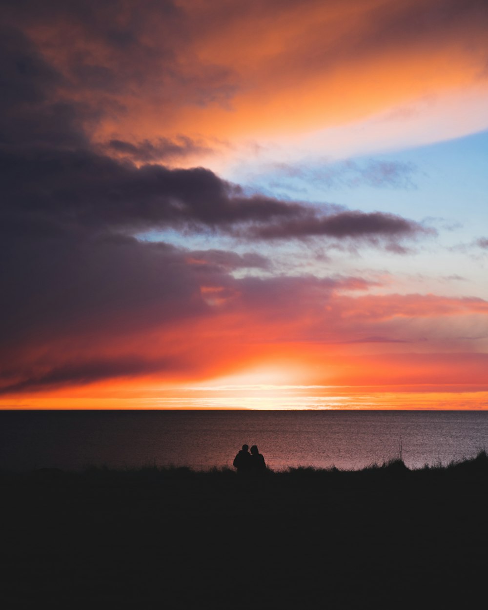 silhouette of people on grass field during sunset