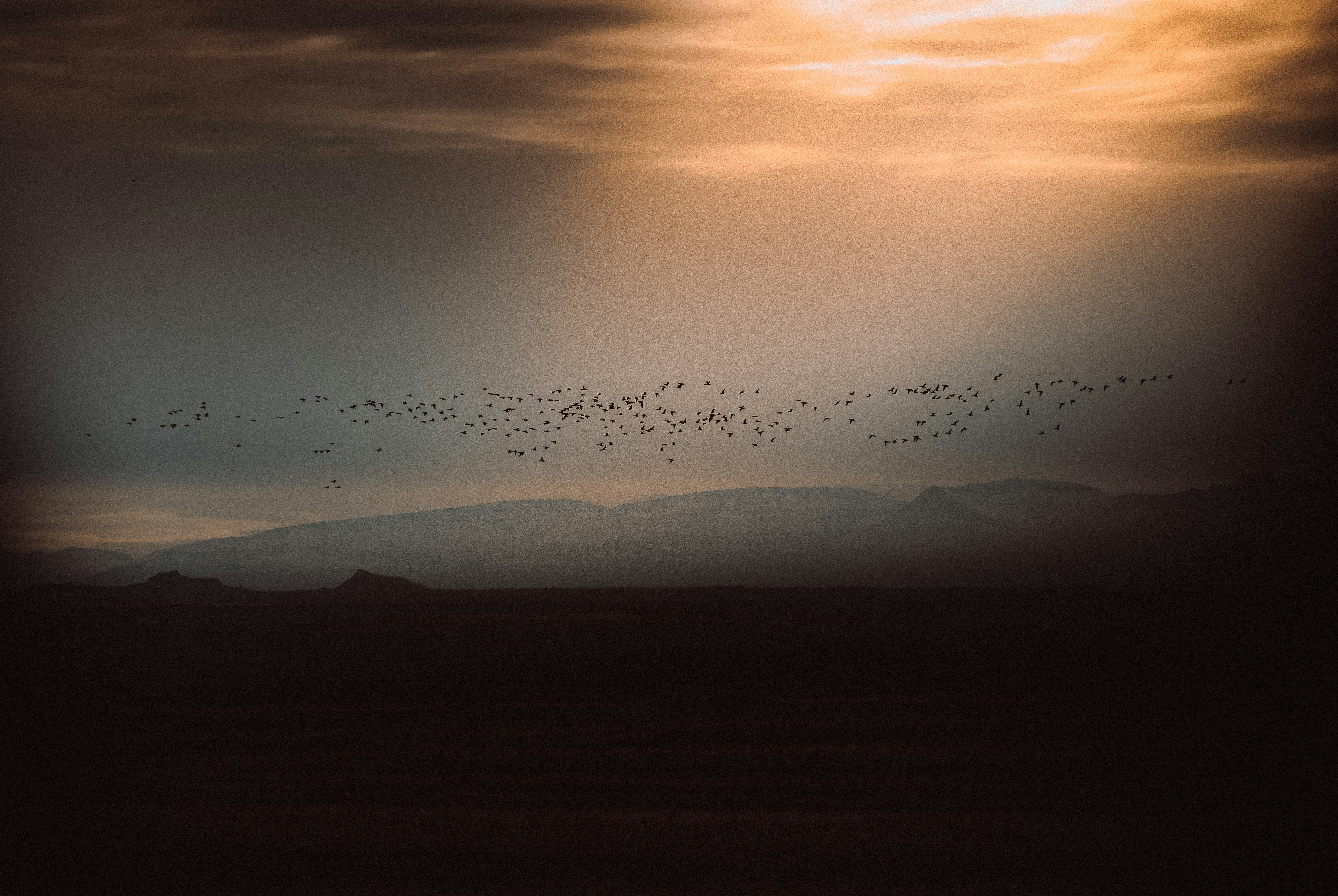pássaros voando sobre as montanhas durante o pôr do sol