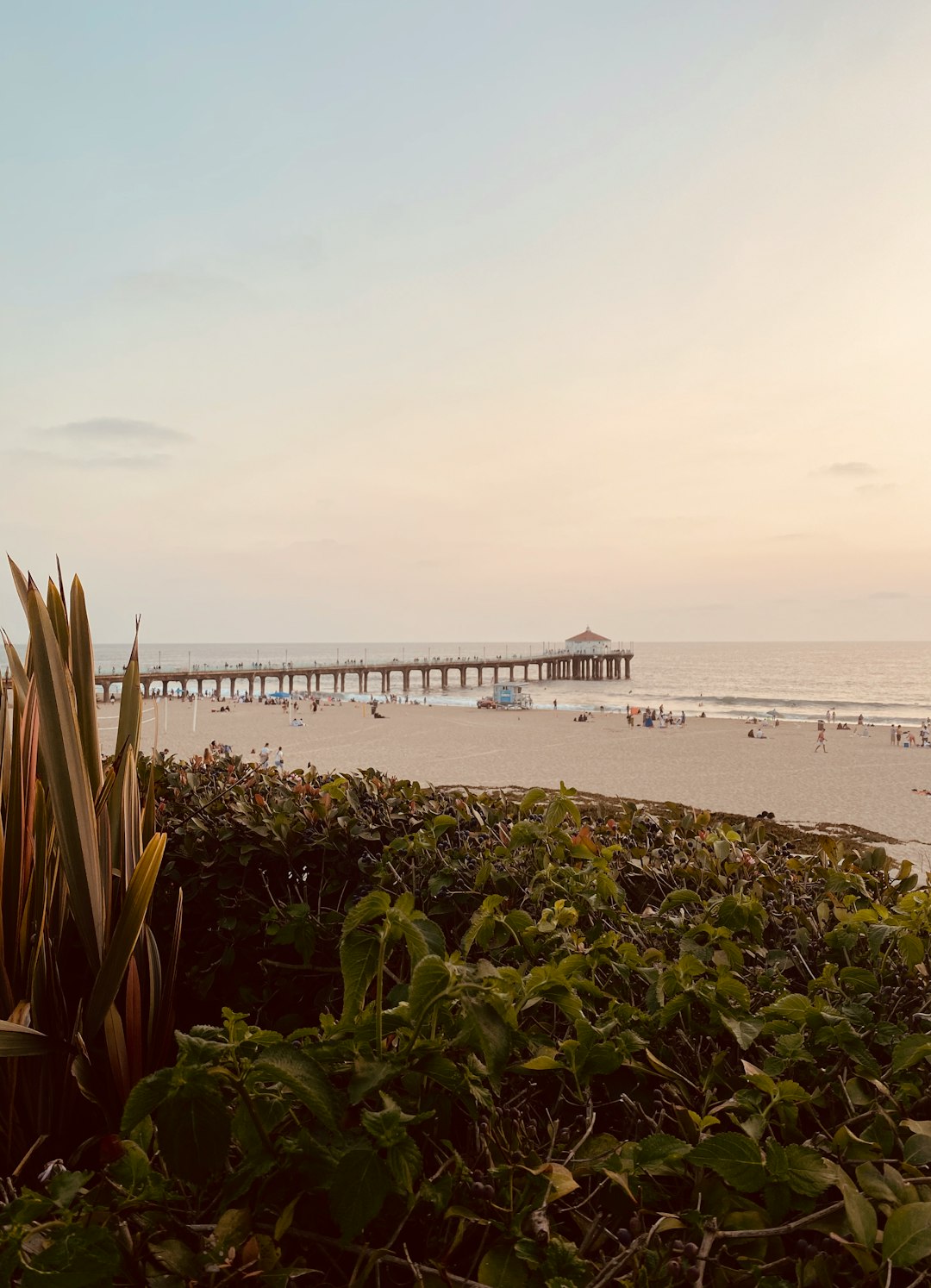 Beach photo spot Manhattan Beach Santa Monica Pier