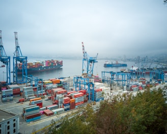 blue and red cargo ship on sea during daytime